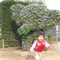 みんなでお出かけ。