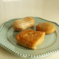 わんこには厳しい季節だね😓