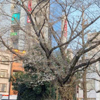 六義園八十八境　霞入江