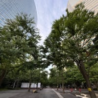 ラッキー賞