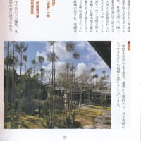 京都非公開文化財特別公開　大雲寺