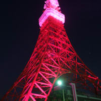 ピンクな東京タワー