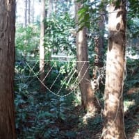 武衛原館と藤丸館 遠江　改変を受けながらも土塁と堀切が残された貴重な城館遺構