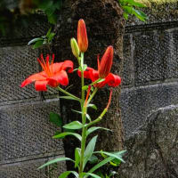 ６月22日日曜日　晴れ⛅