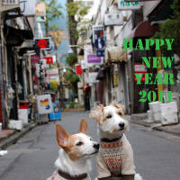 HAPPY NEW YEAR!! 2011