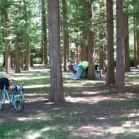 水元公園を散策