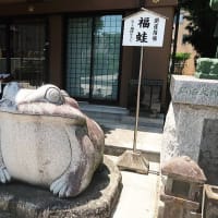 蝉鳴くや 六月村の炎天寺