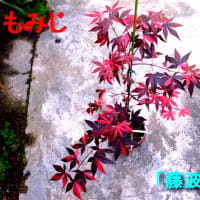 5d428dcf453247d0187e5ff85bb5c0