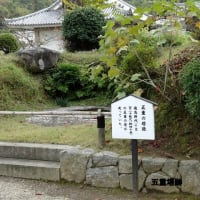 06/22奈良京都への旅-10（明日香村⑤：橘寺訪問、）