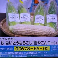 7/8・・・ひるおびプレゼント(本日深夜0時まで)