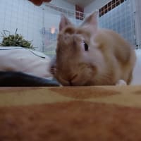 今日の流行り