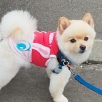 季節は、もう夏・・・