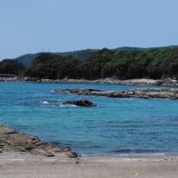 ドラゴンブルー～四国の端っこ幡多路・竜串