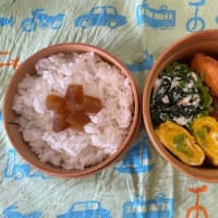 衣替えしなきゃな