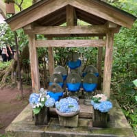 鎌倉散歩明月院