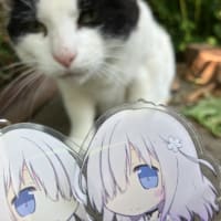マヤー、元気でした！