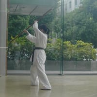 2016年8月28日(日)　東久留米市　プラザまつり