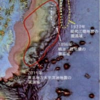 女川原発再稼働 深い憂いを覚える！No275号