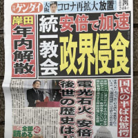 統一教会とはアメリカのこと【アメリカキリスト教原理主義福音派＝ニセユダヤ人問題】