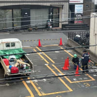 葛飾区