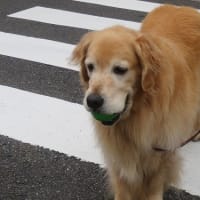 まのんママ週の初めなのに絶不調