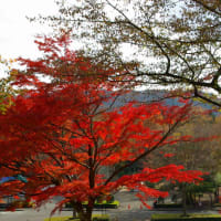 今朝の富士山