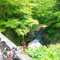 中10日のサイクリング