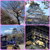 今日の大阪城