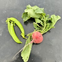 誰が食べたの？