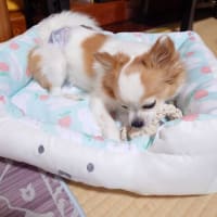ええ事と悪い事！
