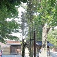 御嶽神社　茅の輪くぐり