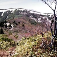 　薫風サイクと初夏の懐かしき山歩き　2024. 05. 14（火）晴れ