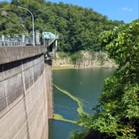 ノートルダム大聖堂の新築記念
