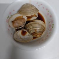 ホンビノス