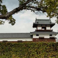 広島、宮島へ旅行