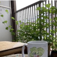 今日いち-2025年6月14日