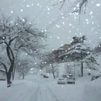 今日の天気はすごかったですね