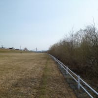 豊平川　ウォーキング