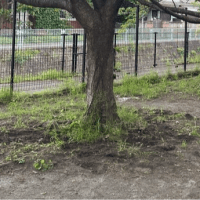 柳原公園サークルベンチ撤去その２