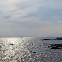 2025cycling Act16　ぶらぶら城ヶ島
