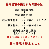 鉄不足　初期症状