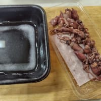 脳への抵抗