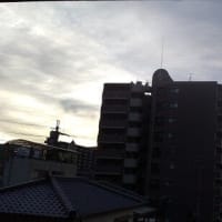2025年7月11日（金）晴。