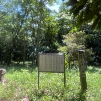 ペニーで遊んで、三舟山へサイクリング