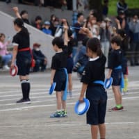 5月最後の日曜日…♪