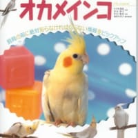 ビギナーズシリーズ　オカメインコ
