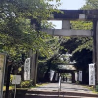 東照宮第一商店と鶯団子と動物園の風景