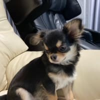 Gooのブログありがとう