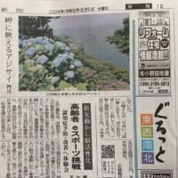 桃源郷岬が、宮日新聞に掲載されました。
