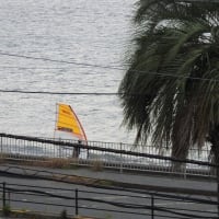 ストレスフリー津久井浜・・・。
